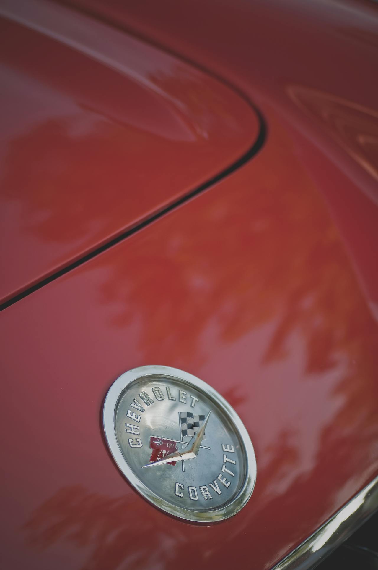 C1 Corvette photo 3